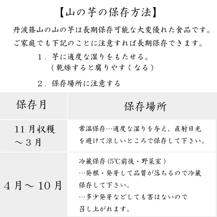 美味 伝統野菜 丹波篠山産 山の芋 粘り抜群 とろろ芋 山芋 秀品 3kg箱