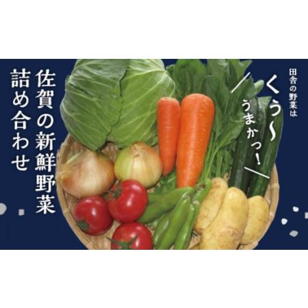 ふるさと納税 新鮮・季節の野菜詰め合わせ：B013-023 佐賀県佐賀市