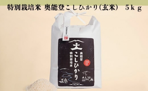 特別栽培米  奥能登こしひかり(玄米)  5ｋｇ