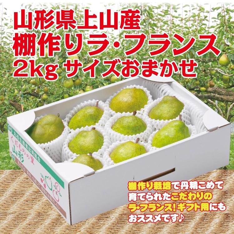 ギフト ラ・フランス 送料無料 洋梨 山形県 上山産 ２kg（サイズおまかせ） 棚作り ラフランス