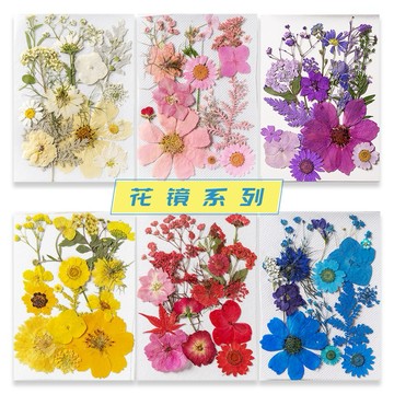 花鏡系列 花包組合 真花壓花 永生花 森林系 少女寫真 壁畫 DIY水晶滴膠 乾燥花 植物標本