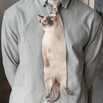 【脖子上長貓了🐱】 搞怪個性貓咪領帶 可愛百搭小貓造型領帶 印花領巾 創意個性領結 仿真小貓領帶 便捷領帶 交換禮物