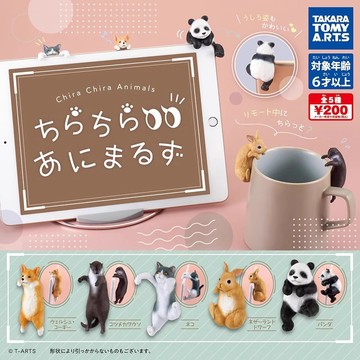 T-arts 日本正版散貨獃萌目不轉睛動物杯杯緣柯基大熊貓擺件日版