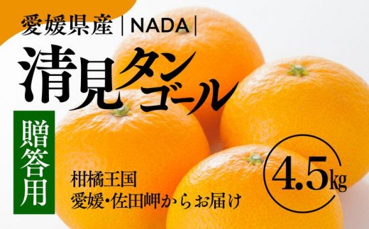 愛媛県産 清見 贈答用 4.5kg みかん 柑橘 完熟 ※2024年3月上旬～4月中旬頃に順次発送予定