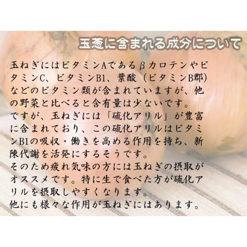 玉ねぎ 10kg (Lサイズ) 北海道長沼産たまねぎ(北もみじなど) 玉葱タマネギ