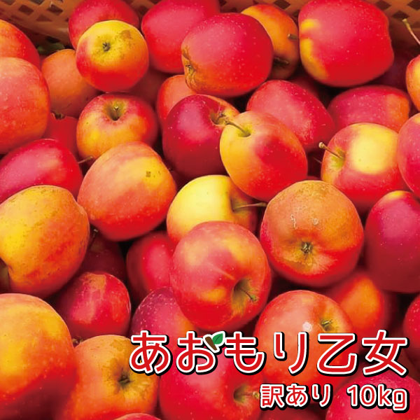 「あおもり乙女（ミニふじ）」青森県産 りんご 訳あり 業務用10kg 送料無料（了承しました。×了承しました。）