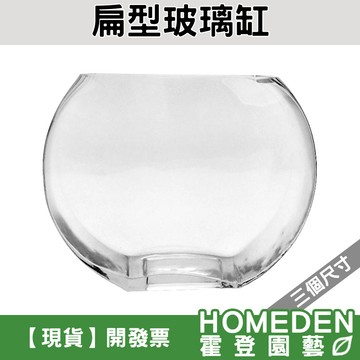 【隔日到貨】扁型玻璃缸 花盆 花器 花瓶 魚缸 永生花 乾燥花容器【HOMEDEN霍登園藝】