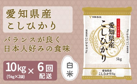 愛知県産コシヒカリ 10kg(5kg×2袋) ※定期便6回 安心安全なヤマトライス H074-553