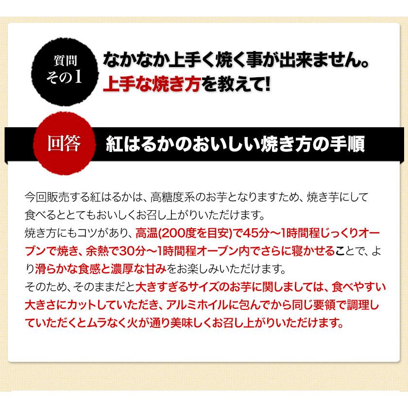 販売解禁 さつまいも 紅はるか べにはるか 1.5kg 送料無料 芋 熊本県産 スイーツ お取り寄せ 12月上旬-12月末頃より発送予定