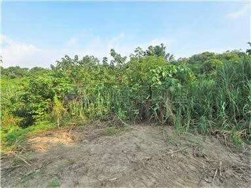 玉井台20線25米路大面寬1.9甲農地 我是承辦｜台南市玉井區芒子芒段