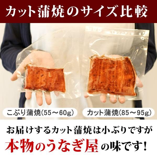 お歳暮 ギフト 2023 国産 うなぎ 蒲焼き 食べ物 お祝い 誕生日プレゼント 蒲焼3枚 プレゼント 土用の丑の日 お年賀 御歳暮 御年賀 化粧箱 Aset 2〜3人用 AB