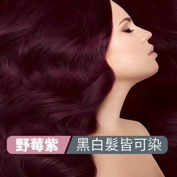 【黑白髮染】染髮霜（野莓紫），配件齊全包