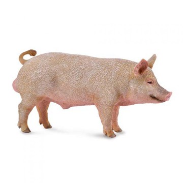 動物模型【 COLLECTA 】公豬