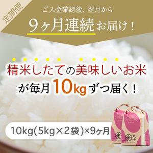 ふるさと納税  米 10kg つがるロマン 青森県産 （精米・5kg×2袋） 青森県五所川原市