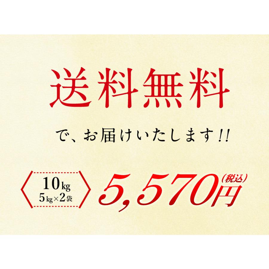 新米 魚沼産（新潟県）コシヒカリ 10kg（5kg×2袋）  送料無料 令和5年度産 魚沼産 新潟県産  お米 10kg（北海道・沖縄別途送料）（配達日・時間指定は不可）