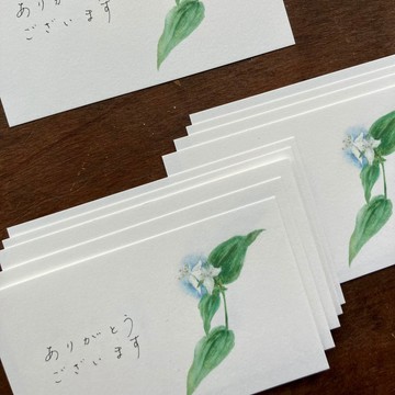 心意卡【常盤露草】