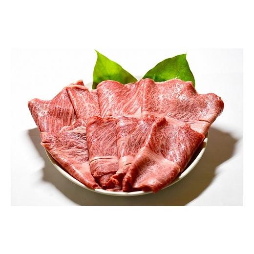 ふるさと納税 福岡県 嘉麻市 赤崎牛 約500g 牛肉