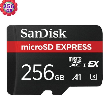 SanDisk 256GB microSD Express 880MB/s SDSQXFN-256G 記憶卡