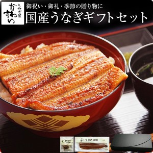 ギフト セット 国産 うなぎ 蒲焼き 特大170g1本と肝吸い1食 送料無料 化粧箱 ギフトセット 鰻 うなぎ ウナギ 御礼 御祝 贈答 結婚 出産