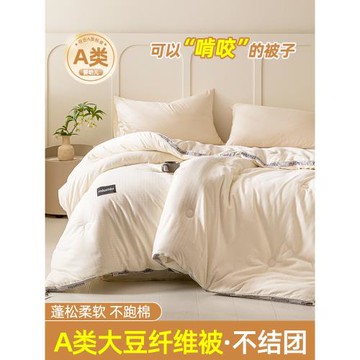 高端A類大豆纖維被子冬被加厚保暖棉被褥春秋被單人被芯學生宿舍