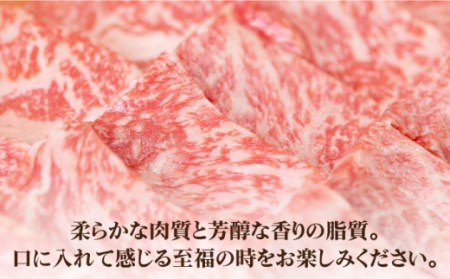 壱岐牛ロース焼肉用300g [JBO073] ロース 焼肉 黒毛和牛  216000 216000円