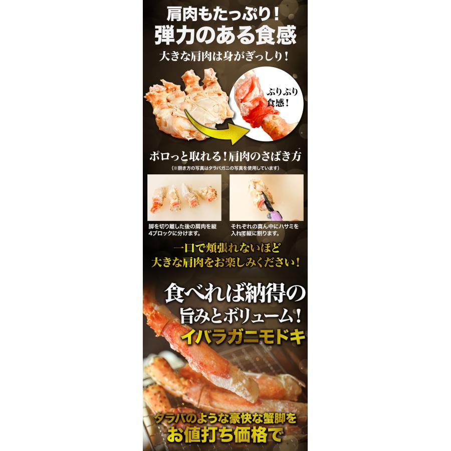 イバラガニモドキ イバラガニ ゴールデンキングクラブ肩付き脚 1.2kg イバラガニ いばらがに キングクラブ ボイル  蟹 カニ BBQ 全国送料無料