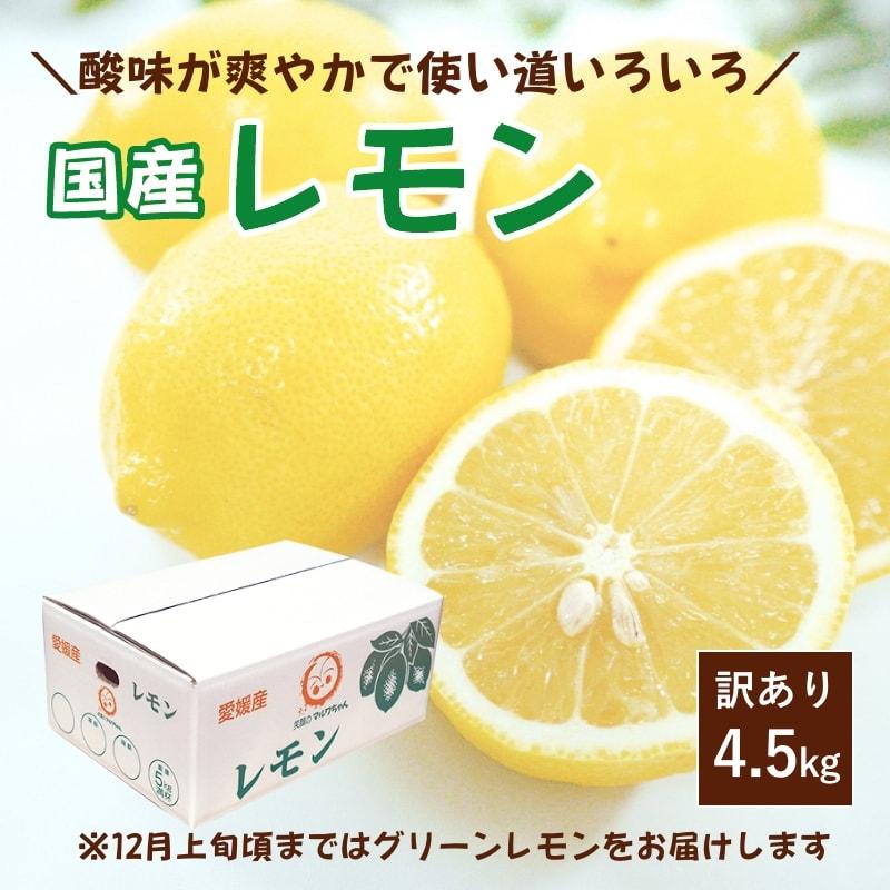 レモン 訳あり 4.5kg 国産 愛媛産 送料無料 産地直送 柑橘 フルーツ 果物 防腐剤 防カビ剤 不使用 ノンワックス