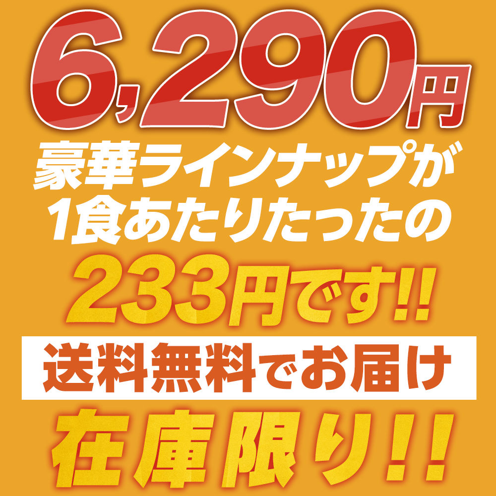 (衝撃の63%OFF 単品合計価格17,280円→6,290円) 松屋 秋の満腹福袋 お試し大ボリュームセット 13種27食  牛丼 牛丼の具 牛めし 福袋