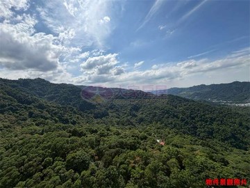 新店 安坑 達觀天空之城｜新北市新店區達觀路