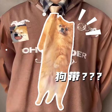 臺灣出貨 狗狗領帶 貓咪領帶 寵物領帶 狗帶 拉布拉多領帶 狗領帶 創意獵奇狗狗圖案印花領帶 潮流洋氣領帶 領帶 禮物