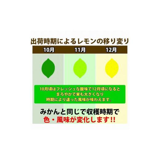 ふるさと納税 和歌山県 有田川町 レモン 和歌山県産 訳あり 国産レモン 2kg