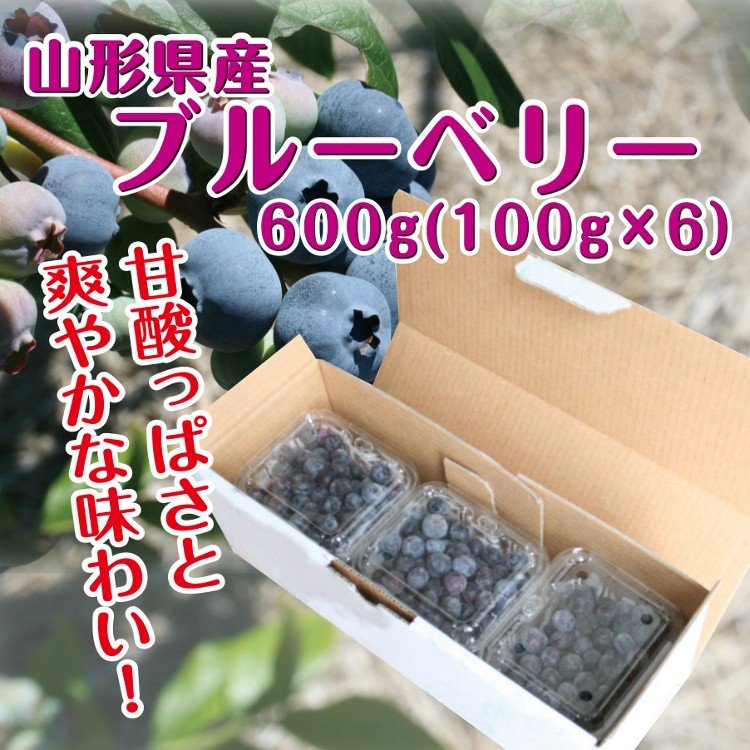 ブルーベリー 送料無料 山形県産 600g（100g×6P）