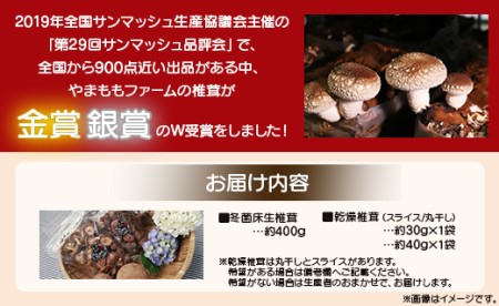 やまももファーム椎茸 冬菌はちきん生椎茸と乾燥椎茸のセット(合計約470g) しいたけ きのこ キノコ 野菜 国産 yo-0014