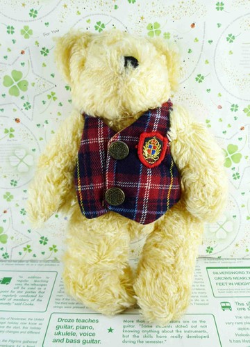 【震撼精品百貨】日本日式精品 熊 Bear 絨毛玩偶-格子背心 震撼日式精品百貨