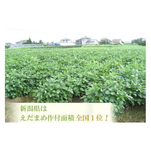 ふるさと納税 新潟県  ＧＩ登録 くろさき茶豆1.2kg  2024年8月発送