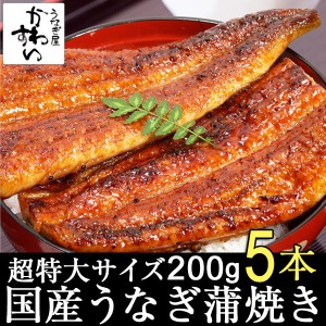 国産 うなぎ蒲焼き 超特大200g×5本 国産うなぎ 蒲焼き 国産うなぎ 蒲焼き 送料無料 タレ付き 山椒別売り 国産うなぎ 蒲焼き 鰻 うなぎ