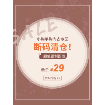 《特價清倉》內衣女無鋼圈聚攏文胸小胸平胸專用胸罩
