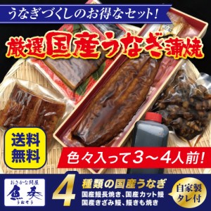 薩摩川内 国産炭火焼うなぎセット 蒲焼 送料無料 鹿児島県 ウナギ 鰻 土用の丑 お試し 取り寄せ グルメ