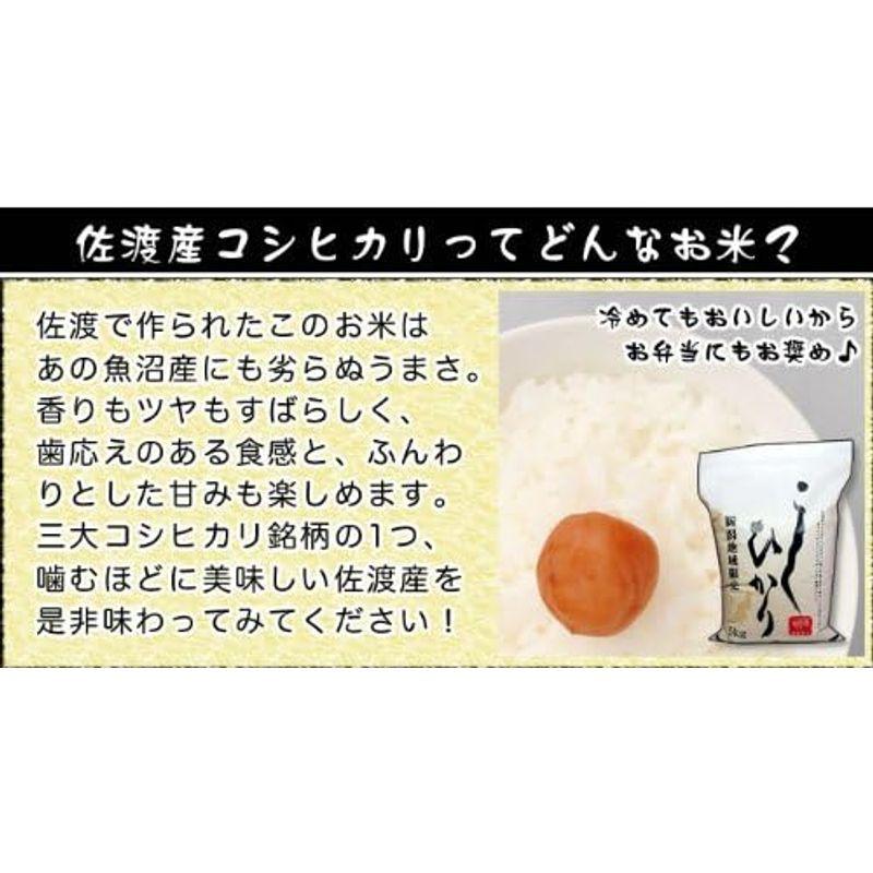 新潟県産 佐渡産コシヒカリ 白米 5kg 令和4年産