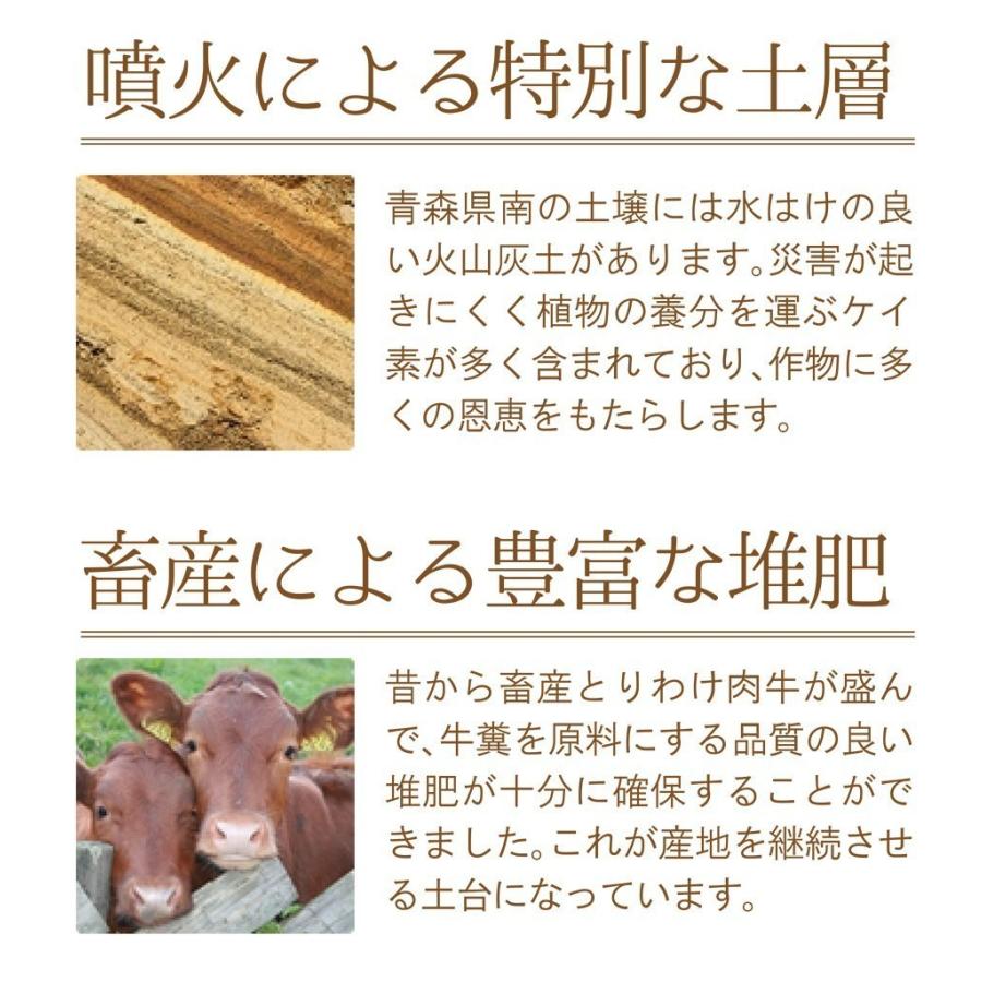 青森産 にんにく 1kg×10入 送料無料 送料発生