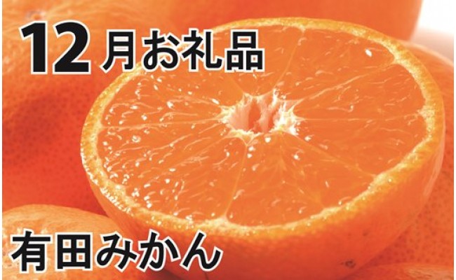  旬の柑橘類コース