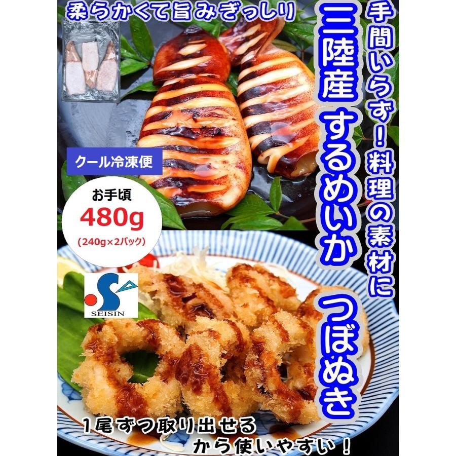 イカ スルメイカ つぼぬき 480g (240g×2パック) 冷凍 国産