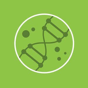 Algae Biotechnology
