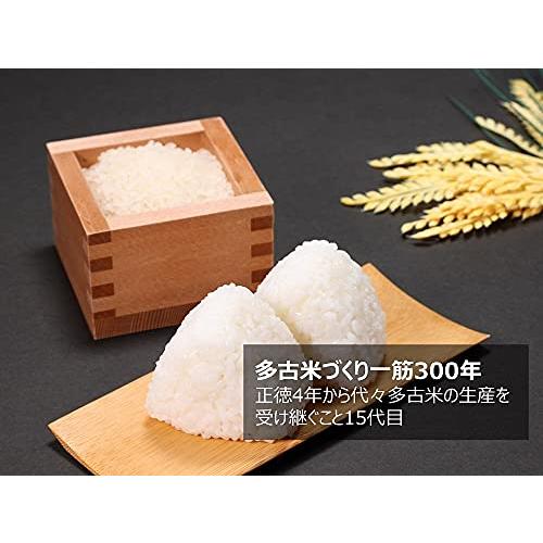 多古米 白米 コシヒカリ 10kg 令和5年産 千葉県産 新米 美味しい お米 高級米（白米10kg）