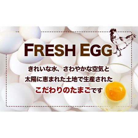 ふるさと納税 フレッシュエッグ 鶏卵Mサイズ10kg（約160〜165個入） 香川県東かがわ市