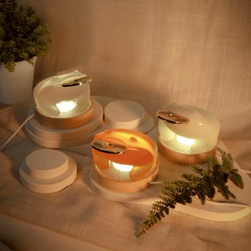 【WUZ屋子】招財揪吉夜明 -共三款