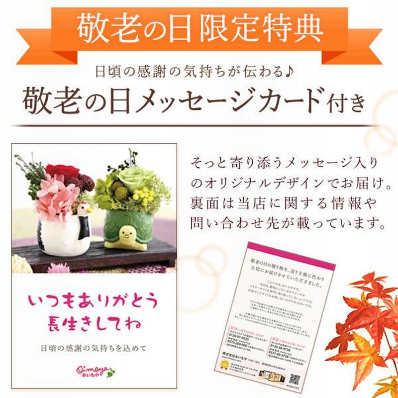 敬老の日 プレゼント ギフト 花 鉢花 鉢植え 珍しい 花とスイーツ りんどう ベコニア お菓子 60代 70代 80代 Flower Dset 通販 Lineポイント最大0 5 Get Lineショッピング