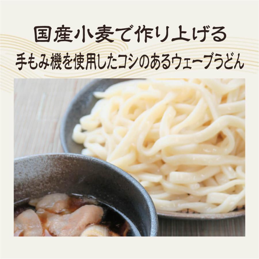 うどん 食べ比べ 10食 武蔵野うどん 乱切り 手もみ風うどん 冷凍うどん コシ最強 詰め合わせ 送料無料 おまけ付