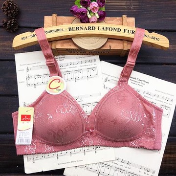 瑩嫦無鋼圈C罩杯瑩嫦文胸定型調整型舒適三排扣薄款中老年內衣女