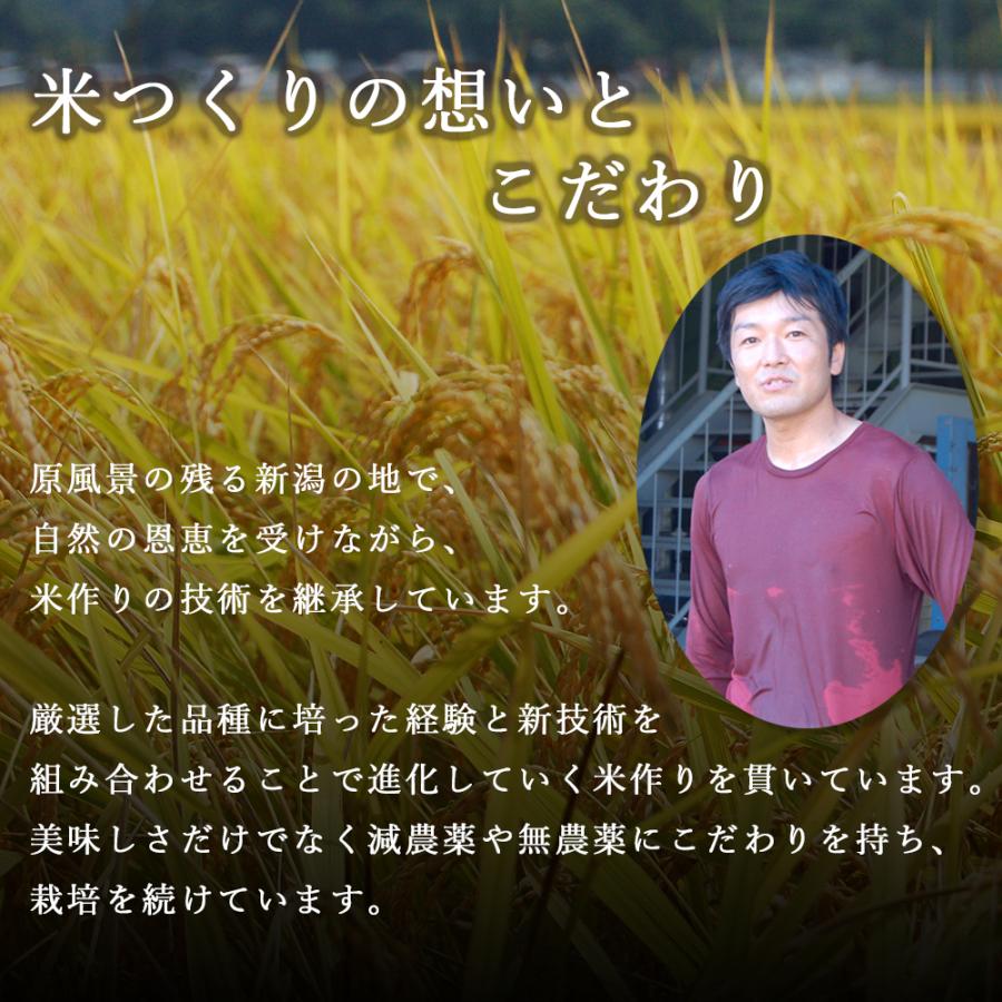 新米 コシヒカリ 令和5年度産 新潟県産 特別栽培米 コシヒカリ 5kg 真空パック お取り寄せ